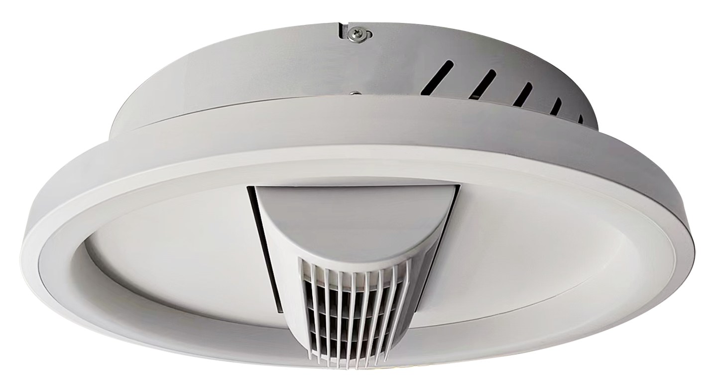 Ceiling Fan (S2403)